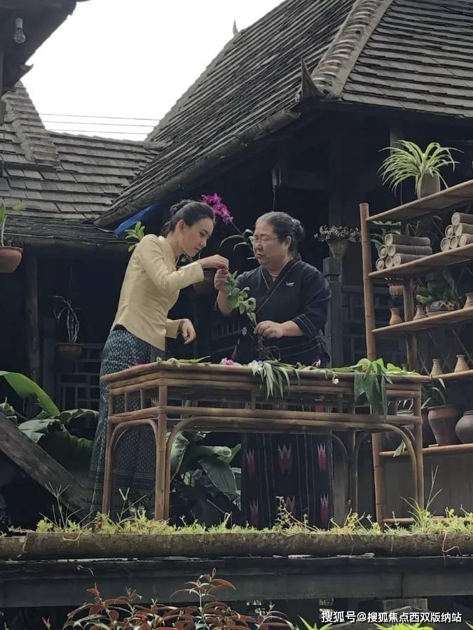 马自达6款新车全曝光！主打纯电+增程，向理想、问界发起挑战